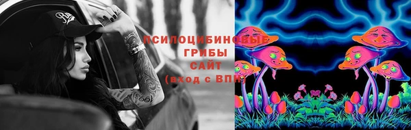 эйфоретик Абинск