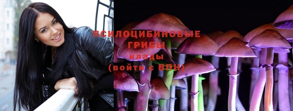 а пвп мука Алзамай