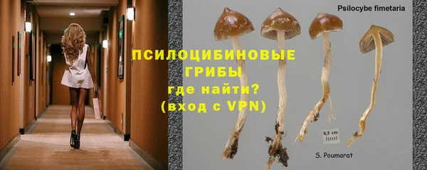 индика Алексеевка