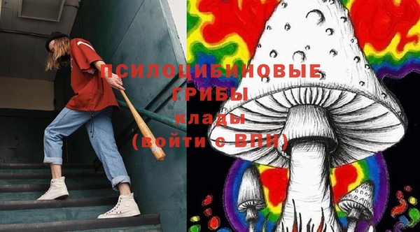 СК Абаза