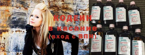 индика Алексеевка