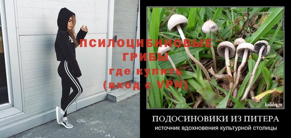 индика Алексеевка