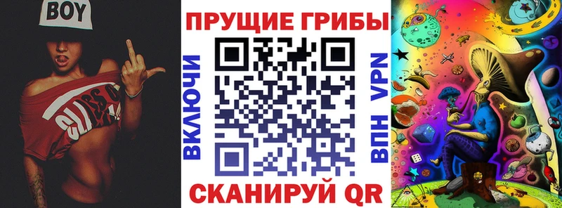 Псилоцибиновые грибы GOLDEN TEACHER купить наркоту Артём